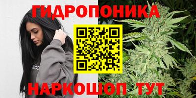гашик Свободный