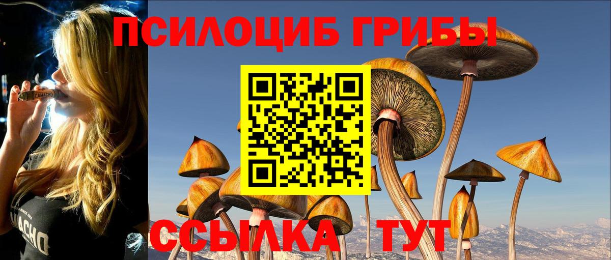 Галлюциногенные грибы Cubensis Семёнов