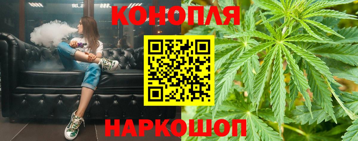 Шишки марихуана гибрид  МАРИХУАНА планчик  Семёнов  Каннабис сатива  Вход с VPN  Марихуана AK-47 